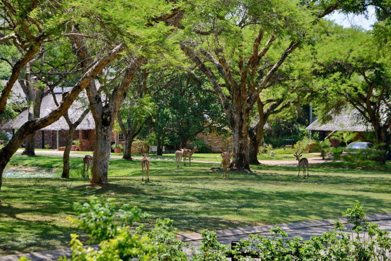 Cambalala - Luxury Units - In Kruger Park Lodge - Serviced Daily, Free Wi-Fi Hazyview Exterior photo